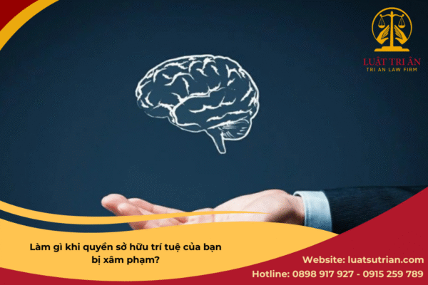 Lam gi khi quyen so huu tri tue cua ban bi xam pham