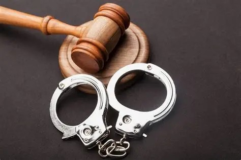 Ngoài hình phạt chính, Bộ luật Hình sự còn quy định các hình phạt bổ sung.