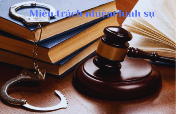 Quy định về các trường hợp miễn trách nhiệm hình sự 3 Một số trường hợp được miễn trách nhiệm hình sự.