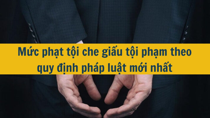che giấu tội phạm
