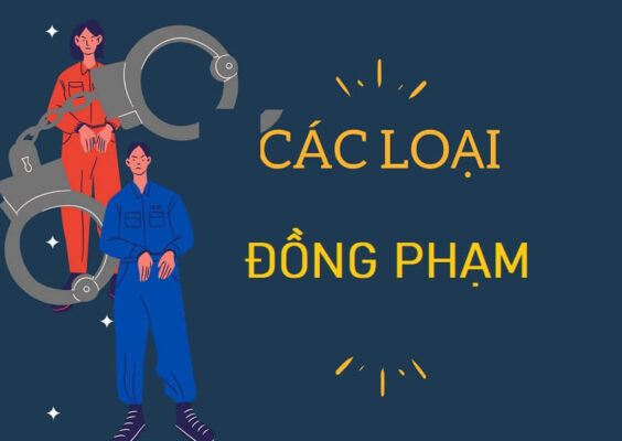 Đồng phạm là trường hợp có hai người trở lên cố ý cùng thực hiện một tội phạm. 